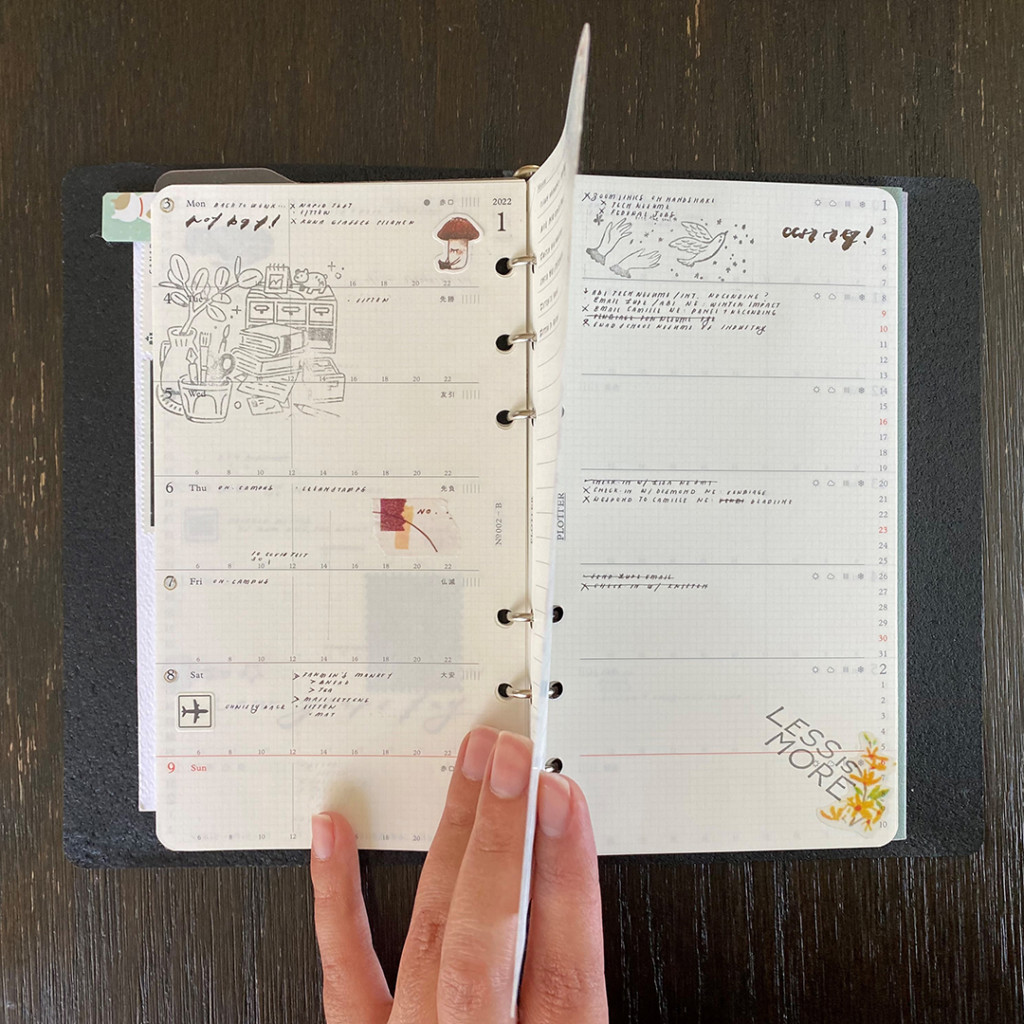 Example of Weekly Schedule Diary Refills in Bible Size PLOTTER Leather Binder.