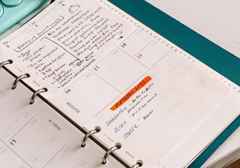 A example page of a PLOTTER in bible Size using the Monthly Schedule.