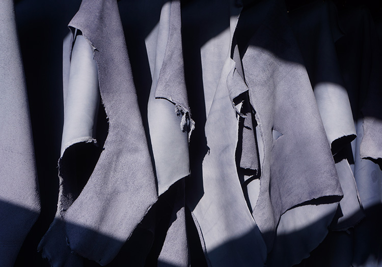 Shiranami blue leather hanging from a tannery.