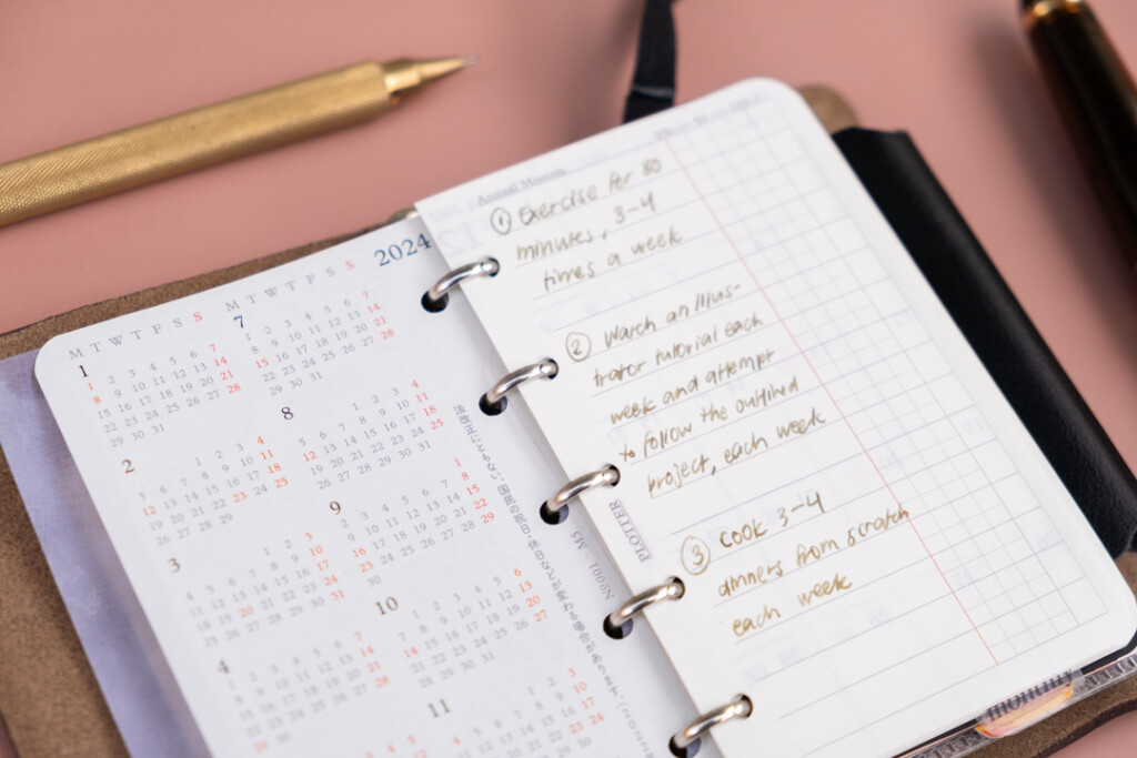 A sample page of a PLOTTER Monthly Schedule in Mini 5 Size that lists three annual missions.