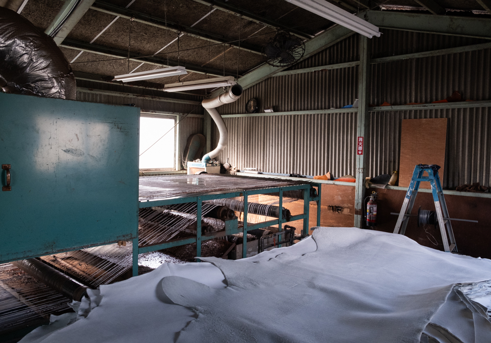 Shiranami leather drying before it is indigo dyed.