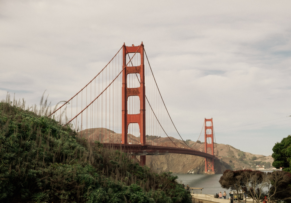 View of the Golden Gate Bridge from Golden Gate Park.
