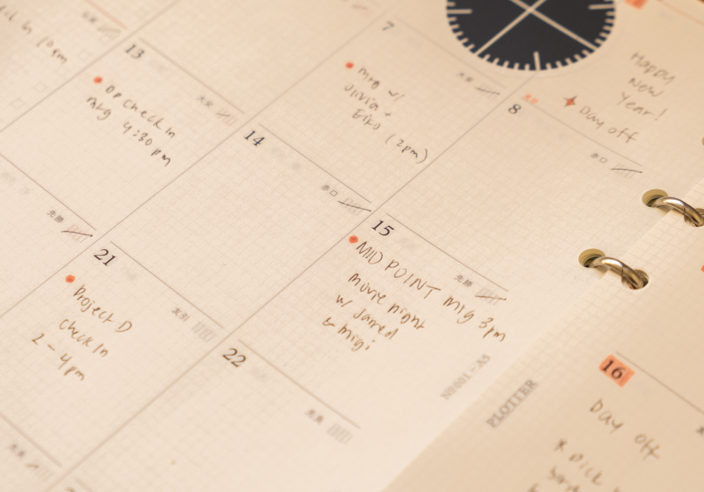 The PLOTTER Diary 2026 Monthly Schedule refill is filed with notes, especially the biorhythm tracker that is filled in on each daily box of the calendar.