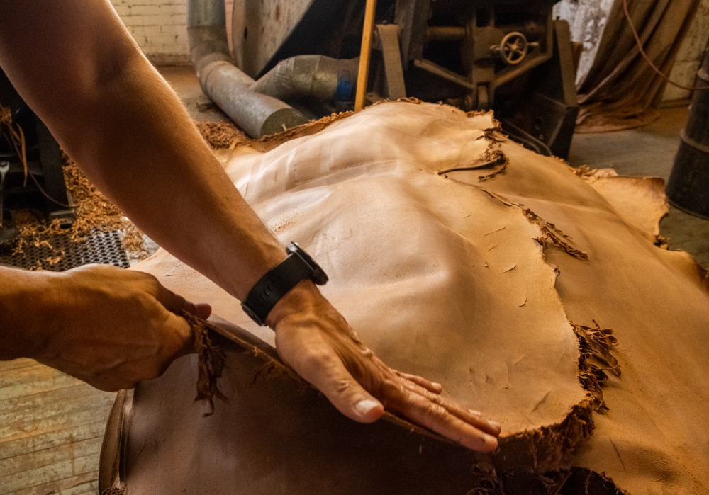 Showcasing the Predator Amber leather at Horween Leather Tannery.