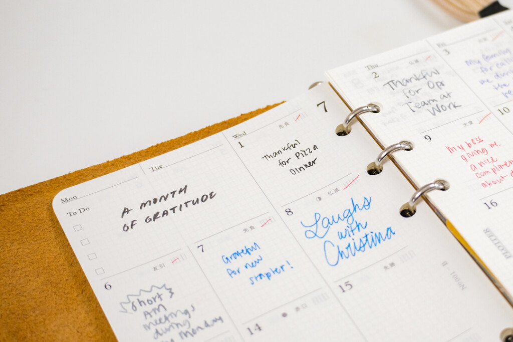 A close-up of the PLOTTER monthly schedule refill, which has a handwritten title saying "A Month of Gratitude."